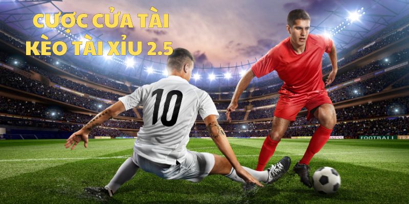 Khi Bet Thủ Vào Cược Cửa Tài