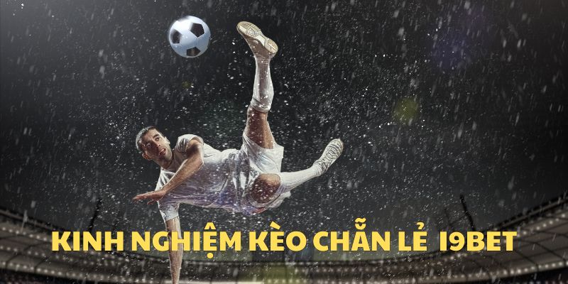 Nên Lựa Chọn Cược Chẵn Lẻ Toàn Trận